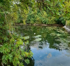 Les vergers et domaines dans le Loiret - Olivet - 2