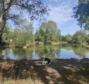 Petite balade au plateau des Landes - Blendecques - 2