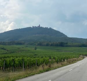 Gravel Bike Riverside Touring 920 Château Haut Koenigsbourg - Kintzheim - 2