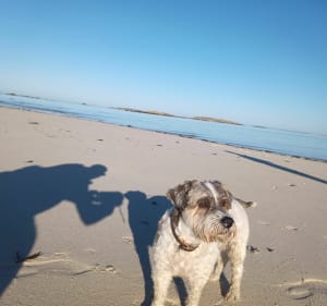 Balade dans les dunes de Penn Enez - Landéda - 2