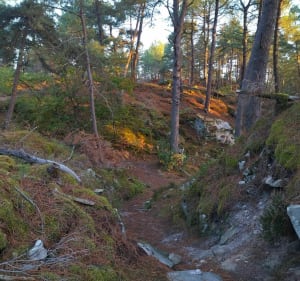 Rocher Cassepot - Fontainebleau - 2