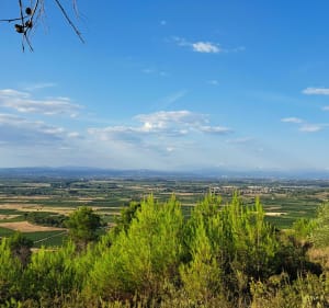 Un peu de hauteur dans les vignobles d'Argeliers - Pierre-Yves - 2