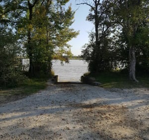 Le marais d'Arcins - Arcins - 2