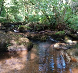 Balade au petit pont de bois - Razès - 2