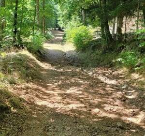 Devez-waterval en wolvenkuil - Laguiole - 2