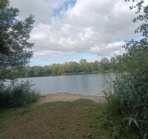 Étang, ponts et marais - Sebastien - 5