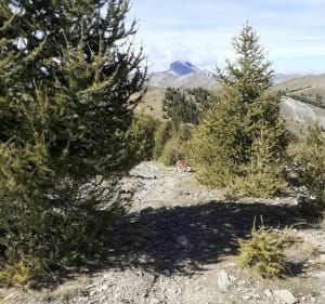 Col d'Allos- Sommet de Rochegrand - Uvernet-Fours - 2