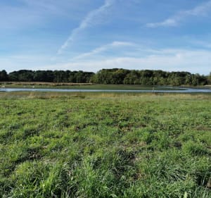 Entre Saint-Symphorien et Nostang - Nostang - 2