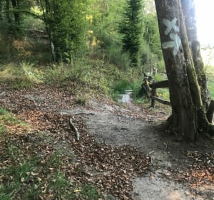 Le sentier du loup garou - Amange - 2