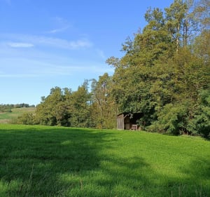 Découverte du village de l'Etrat et sa campagne environnante - L'Etrat - 2