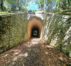 Balade entre vignes et bois - Bussac-sur-Charente - 2