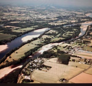 Ile de CHALONNES - Mauges-sur-Loire - 2