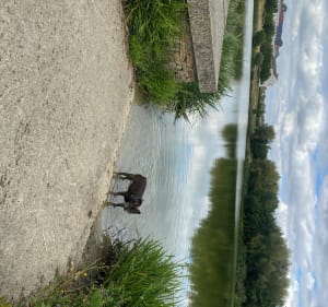 Tour à Magny - Magny-le-Hongre - 2