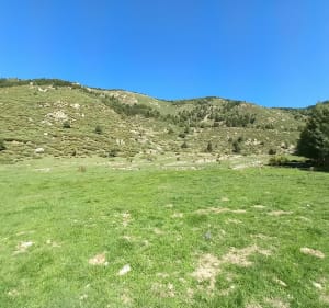 La vallée de la Riberole de Prats Balaguer - Fontpédrouse - 2
