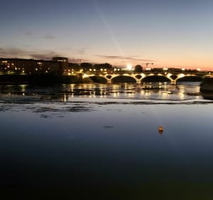 Entre Garonne et Canal depuis Compans - Toulouse - 2