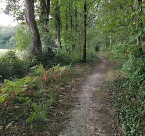 Etang de Péronne et les poteries de Chanteloup-Les-Bois - Chanteloup-les-Bois - 2