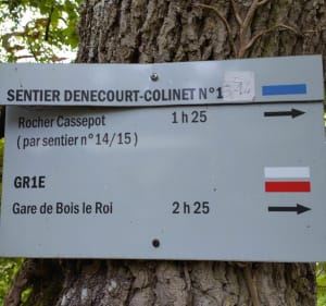 Découverte Tour Denecourt et du sentiers Denecourt Collin - Fontainebleau - 3