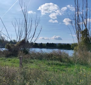 Balade tranquille à travers Pontpoint et ses étangs - Pont-Sainte-Maxence - 5