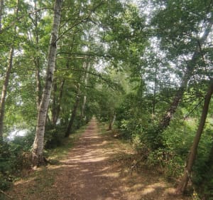 De Saint Avold au Warndtweiher, retour par les étangs - Saint-Avold - 2
