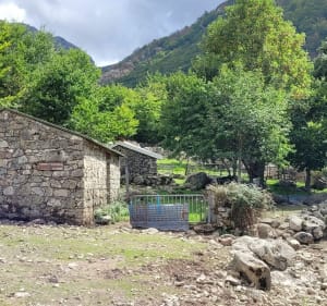 Les bergeries de Capiaghja Vizzavona - Bocognano - 2
