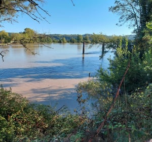 Balade sur les bords de la Garonne - Portets - 2