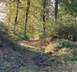 Belle balade dans les ruelles de Preux aux bois et forêt - Preux-au-Bois - 2