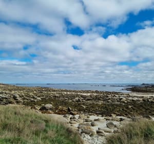 Le GR 34 à Plouguerneau - Plouguerneau - 2