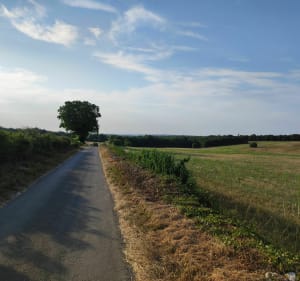 Les Eaux Claires de Gigt à Charsé - Puymoyen - 2