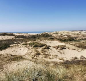 Les Dunes de la Slack jusqu'à Audresselles - Ambleteuse - 4