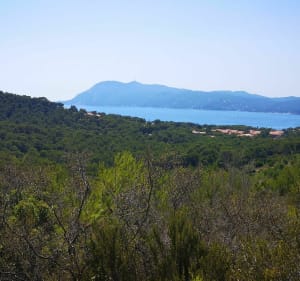 Contour de Pin Rolland - Saint-Mandrier-sur-Mer - 3