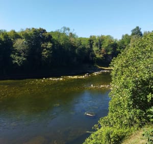 Le long de la Dordogne de Mouleydier à Tuilières - Arnauld - 5