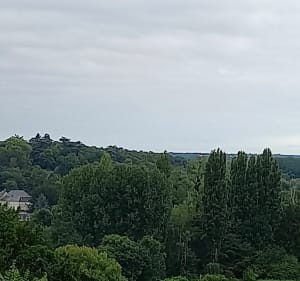Marche du 1er juillet - Françoise - 2