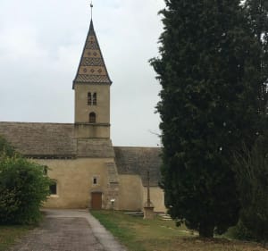Jolie balade forestière dans la Dijonnais - Fixin - 2