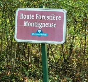 Balade en forêt domaniale de Montargis et alentours - Montargis - 2