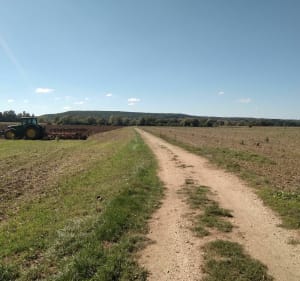 Étangs de Cuy de St Denis et bord de l'Yonne - Cuy - 2
