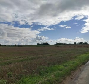 Sortie entre Béthune et Hingesen passant par Vendin - Nicolas - 3