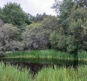 Vierzon Ouest en randonnée pédestre - Vierzon - 2