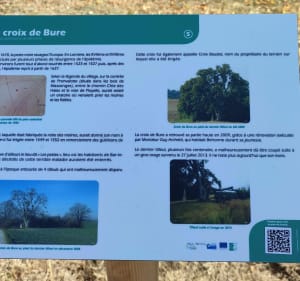 Sur les traces de la Suzanne - Bar-le-Duc - 2