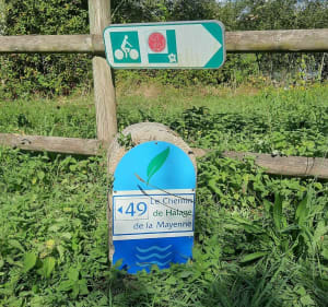 Le tour du Vicoin - Nuillé-sur-Vicoin - 3