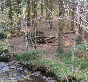 Balade dans la forêt Hayboise - Haybes - 2