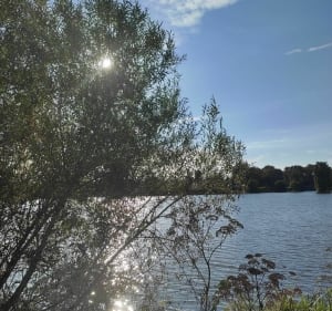 Tour des lacs Saint-Paul-les-Dax - Saint-Paul-lès-Dax - 2