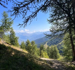 Mont Jovet - Aime-la-Plagne - 2