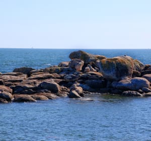 Wandel naar Pointe de la Jument - Trégunc - 2