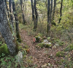 Randonnée en Causse Comtal - Montrozier - 2