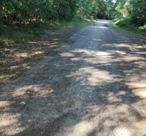 Forêt des vaseix - Limoges - 2