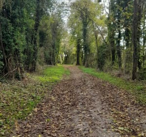 A travers la Campagne Seine et Marnaise - Esbly - 2