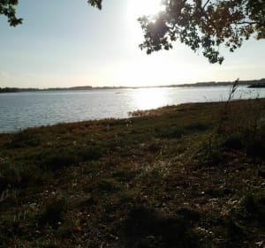Sortie aux abords de Conleau - Vannes - 2