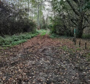Promenade à VTT le long du Rhône et la Lône - Decathlon - 5