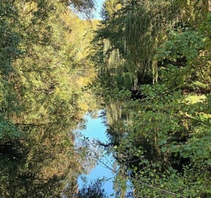 Moléans chemin de forêt, et petits passages. - Moléans - 2