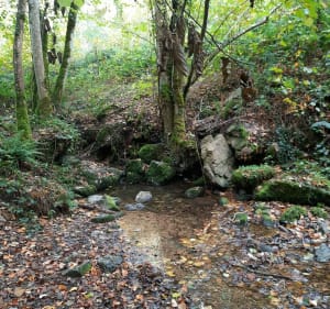 De woestijnkloven in Saint-Alban-les-Eaux - Saint-Alban-les-Eaux - 2